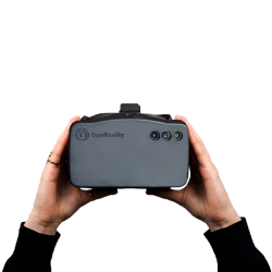 EyesReality synshandicap-simulator