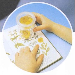 Biologilup 4,8 forstrrelse