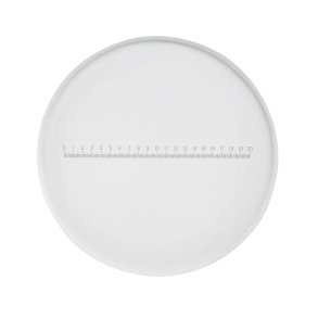 Prcisionsmleskala 20mm i 0,1mm