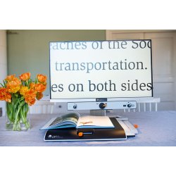 MagniLink Basic FHD 24