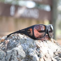 Cocoons Pilot (L), boysenbr