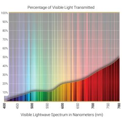 Cocoons Aviator (XL), Sort/Amber