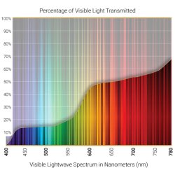 Cocoons Slim Line solbrille (M) sort/kobber