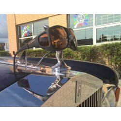 MaxProtect str. L, sort stel med 85% filterglas