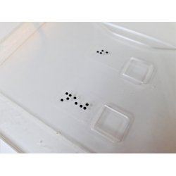 Skabelon til ja/nej-stemmeseddel