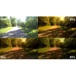 MaxProtect str. L, sort stel med 65% filterglas